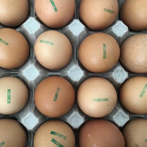 Huevos eco