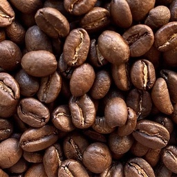 [10079] Café Premium 100 Arábica de Comercio Justo – AMUCC