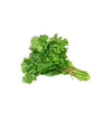 [10481] Cilantro fresco