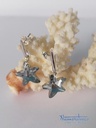 Pendientes swarovski estrella mar gris